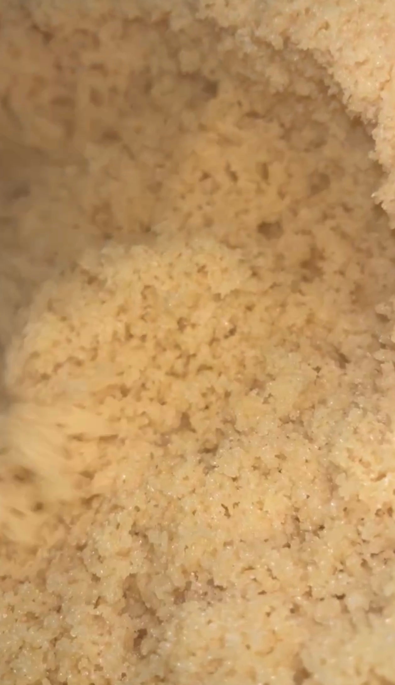 Cinnamon Twist (Dark Spot Toner)